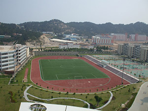 5336平方塑膠跑道及2775平方足球場人造草——廈門